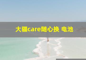 大疆care随心换 电池